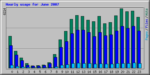 Hourly usage for June 2007