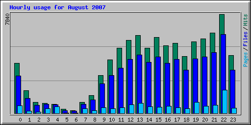 Hourly usage for August 2007